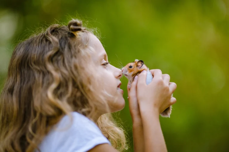 Does Your Hamster Love You? 5 Clear Signs to Watch For